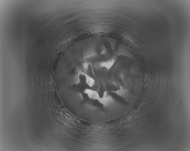 X0000062620917200601041001