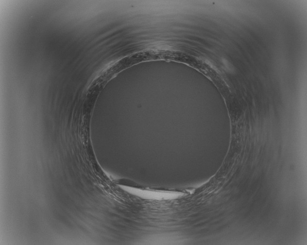 X0000062620919200601041001