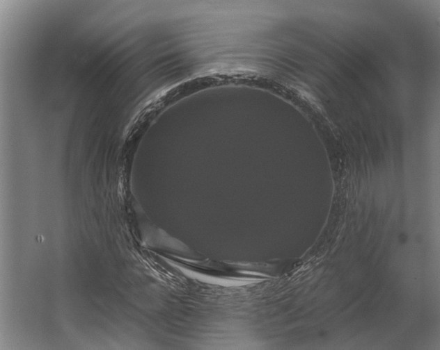 X0000062620920200601041001