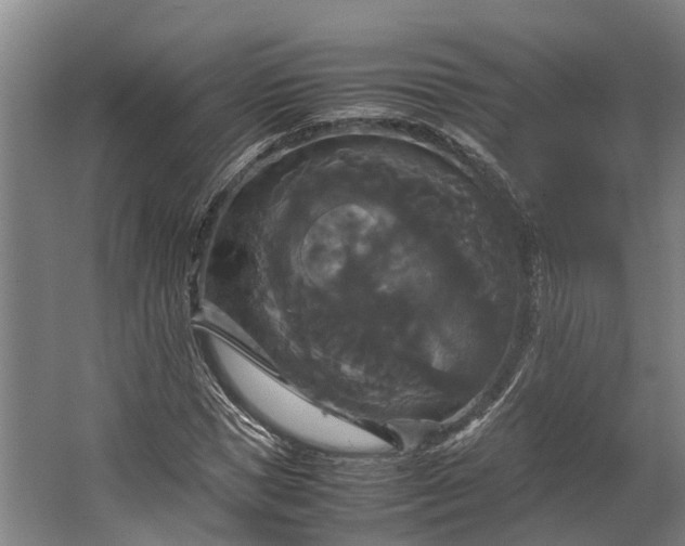 X0000062620921200601041001