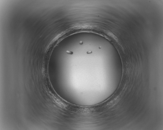 X0000062620922200601041001