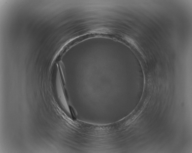 X0000062620923200601041001