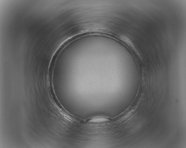 X0000062620924200601041001