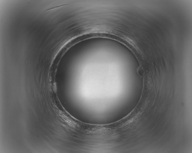 X0000062620926200601041001