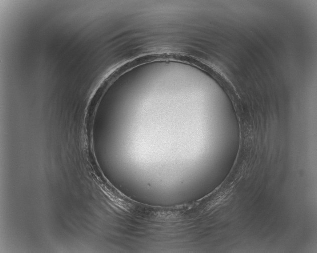 X0000062620927200601041001