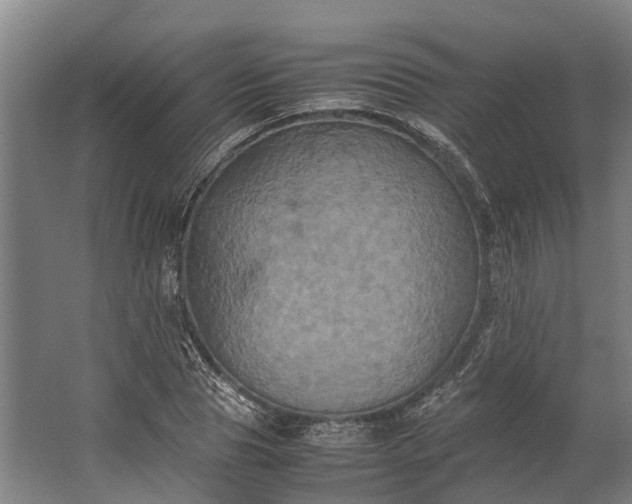 X0000062620929200601041001