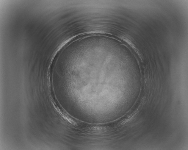 X0000062620933200601041001