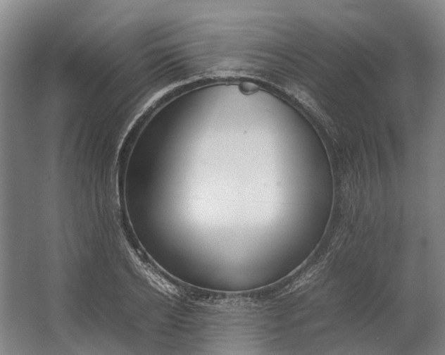 X0000062620934200601041001