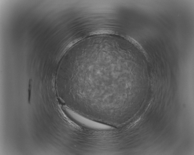 X0000062620937200601041001