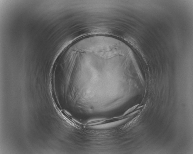 X0000062620941200601041001