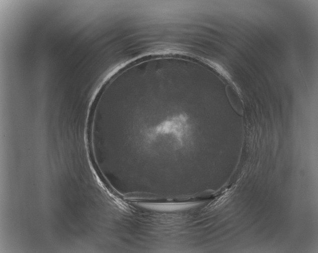 X0000062620943200601041001