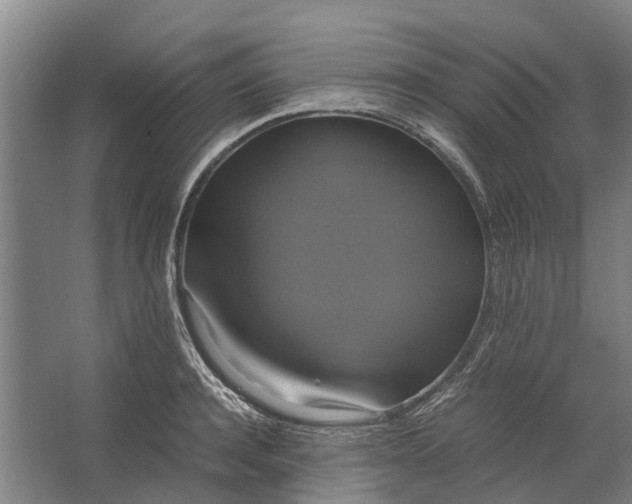 X0000062620944200601041001