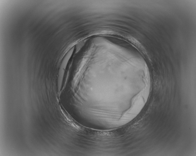 X0000062620945200601041001