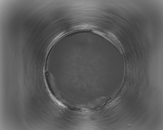 X0000062620946200601041001