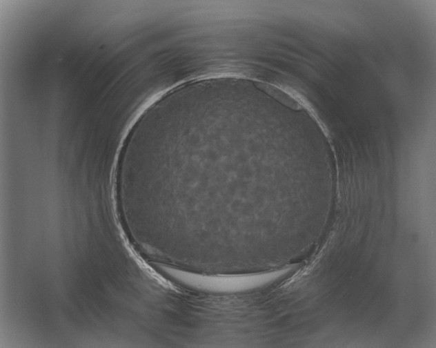 X0000062620949200601041002