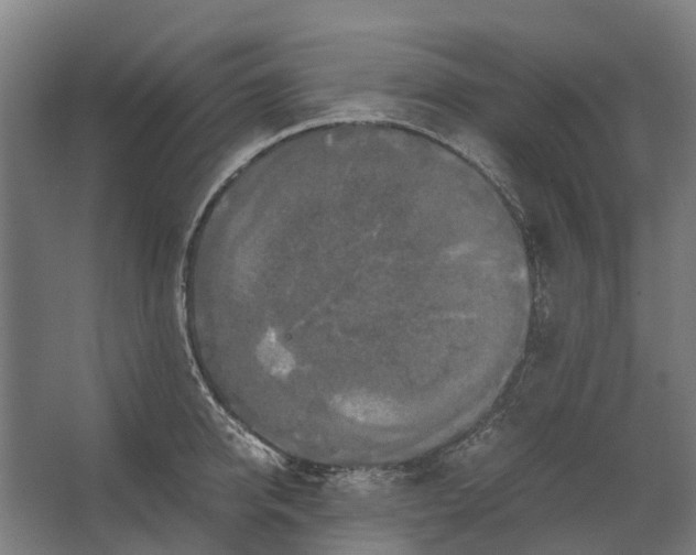 X0000062620950200601041002