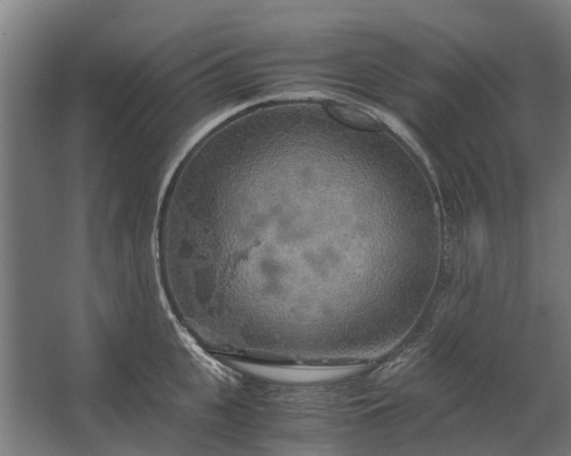 X0000062620951200601041002