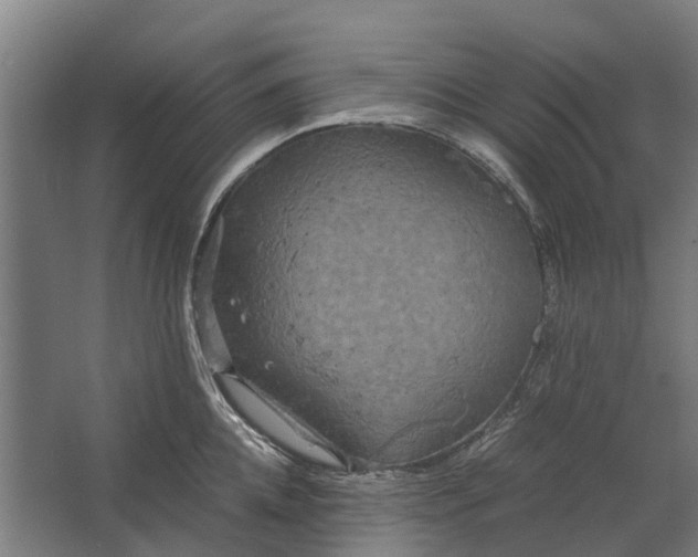 X0000062620952200601041002