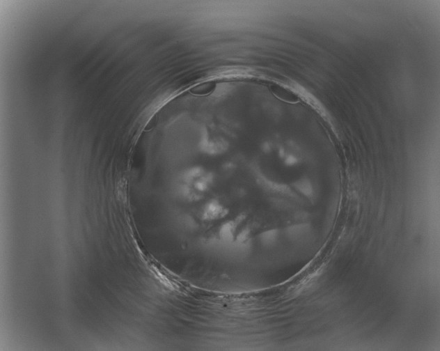 X0000062620953200601041002