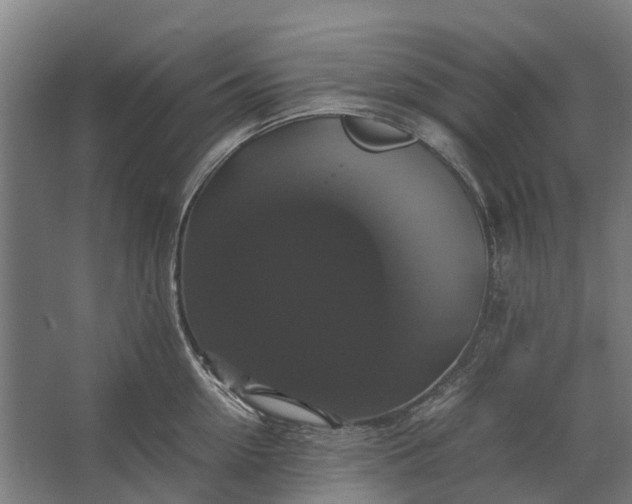 X0000062620954200601041002