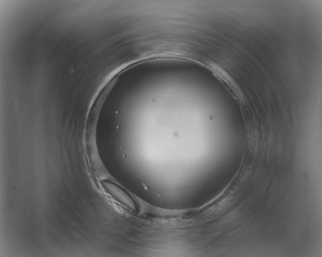 X0000062620956200601041002