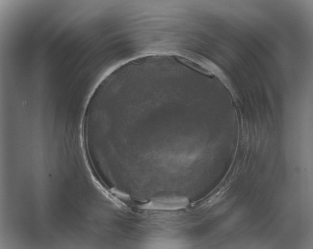 X0000062620958200601041002