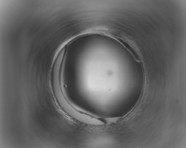 X0000062620960200601041002