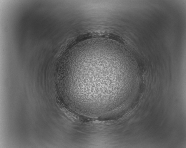 X0000062620961200601041001