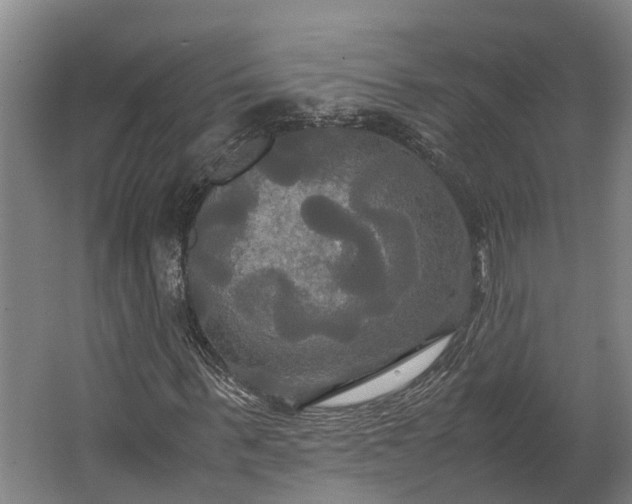 X0000062620963200601041001