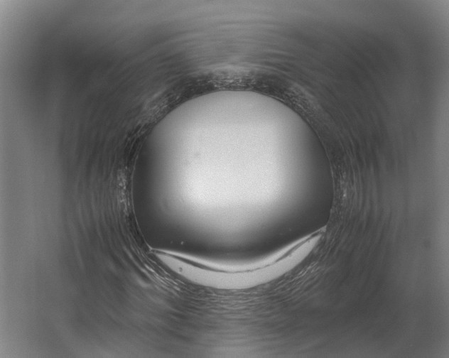 X0000062620964200601041001