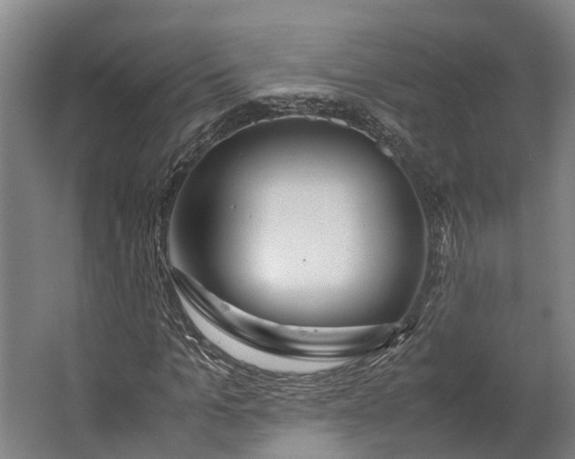 X0000062620965200601041001