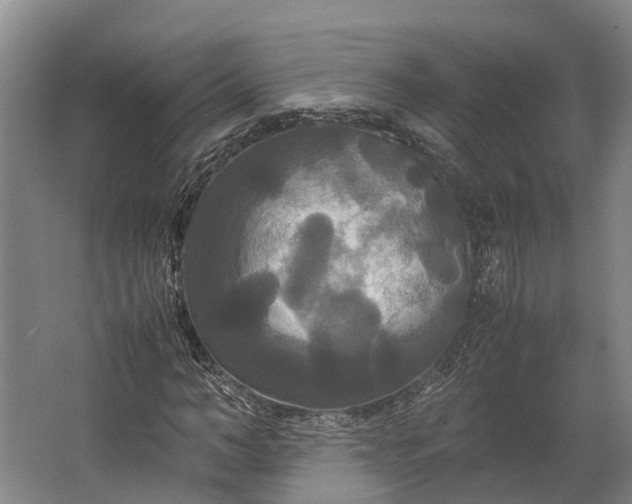 X0000062620966200601041001