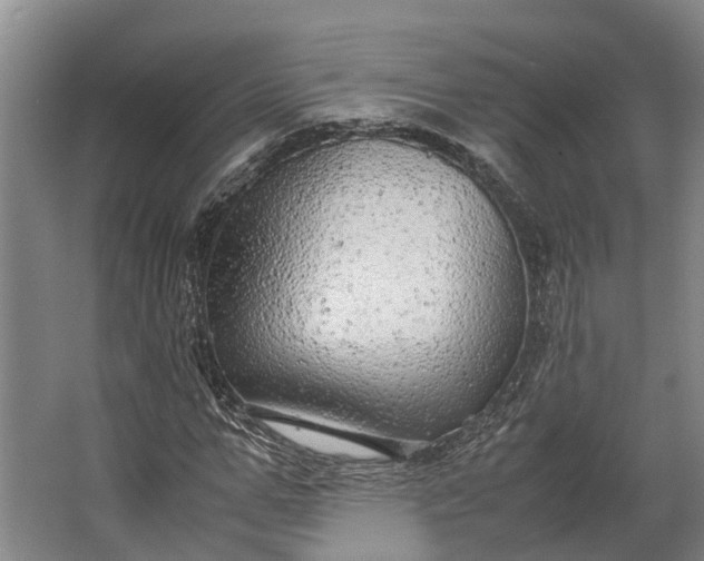 X0000062620967200601041001