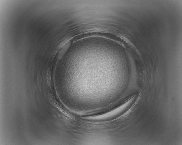 X0000062620969200601041001