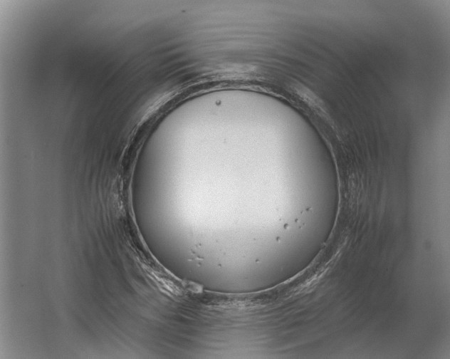 X0000062620970200601041001