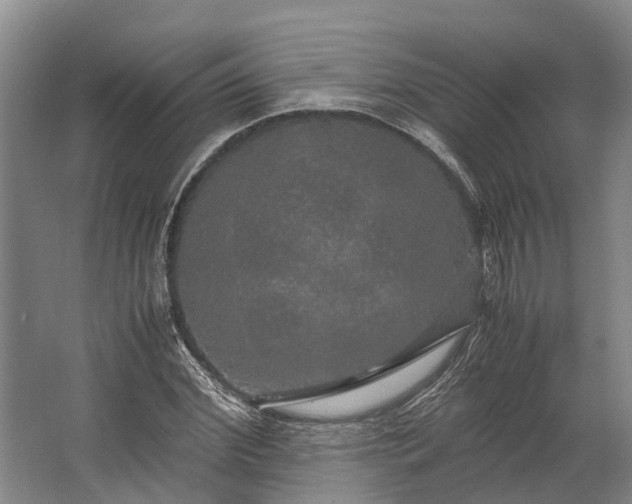 X0000062620972200601041001