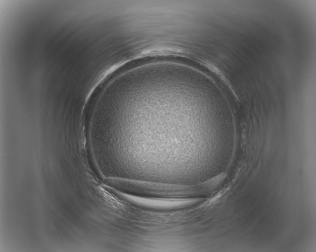 X0000062620973200601041001