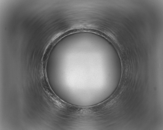 X0000062620974200601041001