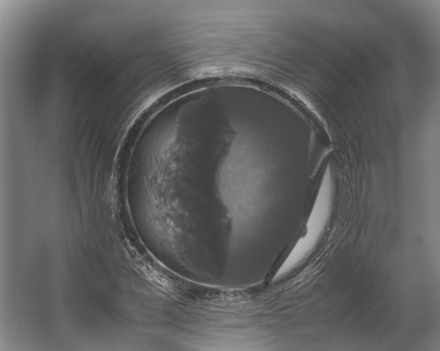 X0000062620975200601041001