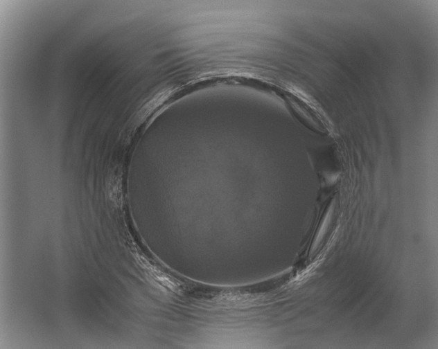 X0000062620977200601041001