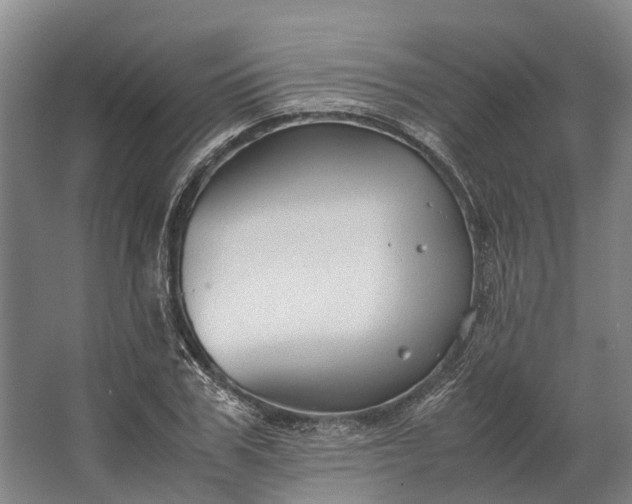 X0000062620979200601041001