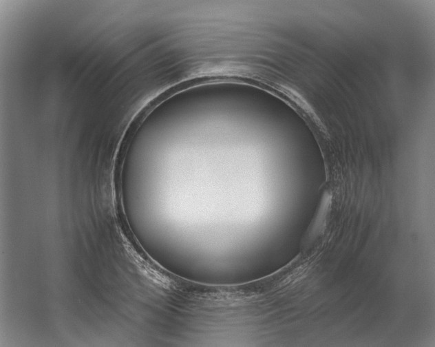 X0000062620980200601041001