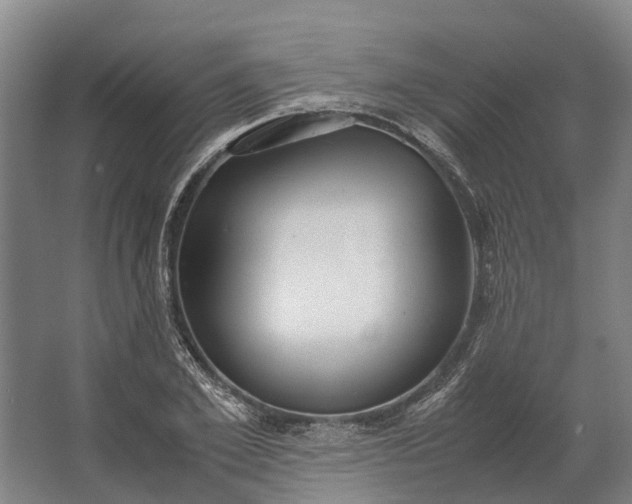 X0000062620981200601041001