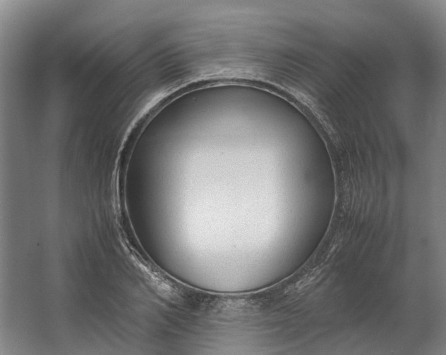 X0000062620982200601041001