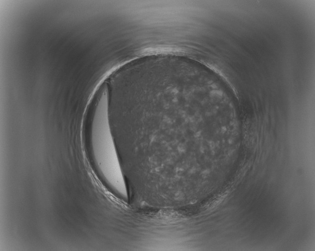 X0000062620983200601041001