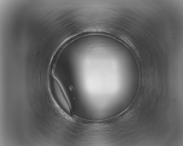 X0000062620984200601041001