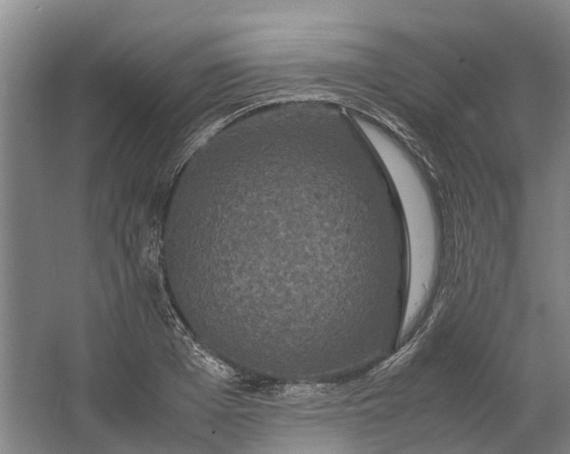 X0000062620985200601041001