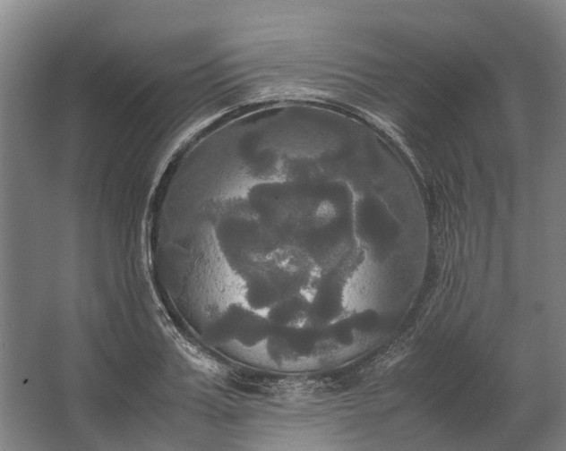 X0000062620987200601041000