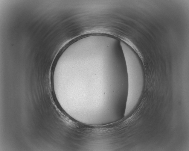 X0000062620988200601041000