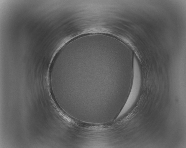 X0000062620990200601041000